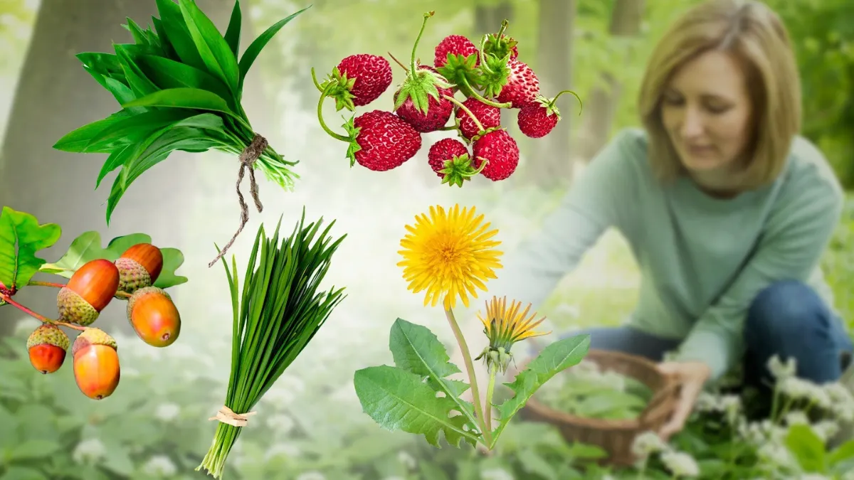 From Forest to Feast: 9 Wild Plants You Can Forage and Eat Tonight