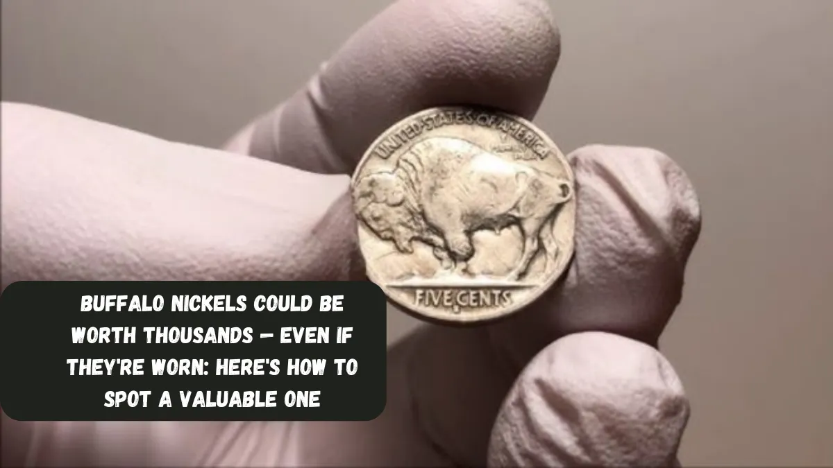 Buffalo Nickels Could Be Worth Thousands — Even If They're Worn: Here's How to Spot a Valuable One