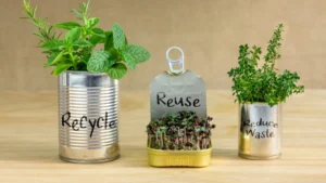 6 Upcycling Tricks to Turn Trash into Treasure Instantly