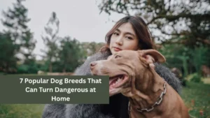 7 Popular Dog Breeds That Can Turn Dangerous at Home