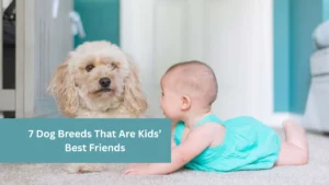 7 Dog Breeds That Are Kids’ Best Friends