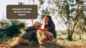 6 Dog Breeds With the Most Loving Hearts