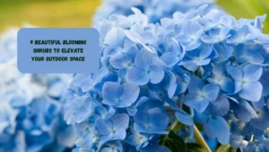 9 Beautiful Blooming Shrubs to Elevate Your Outdoor Space