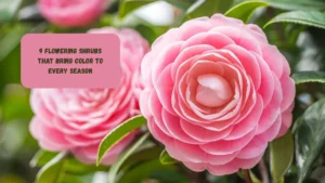 9 Flowering Shrubs That Bring Color to Every Season