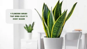 11 Indoor Plants That Grow Themselves