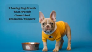 7 Loving Dog Breeds That Provide Unmatched Emotional Support